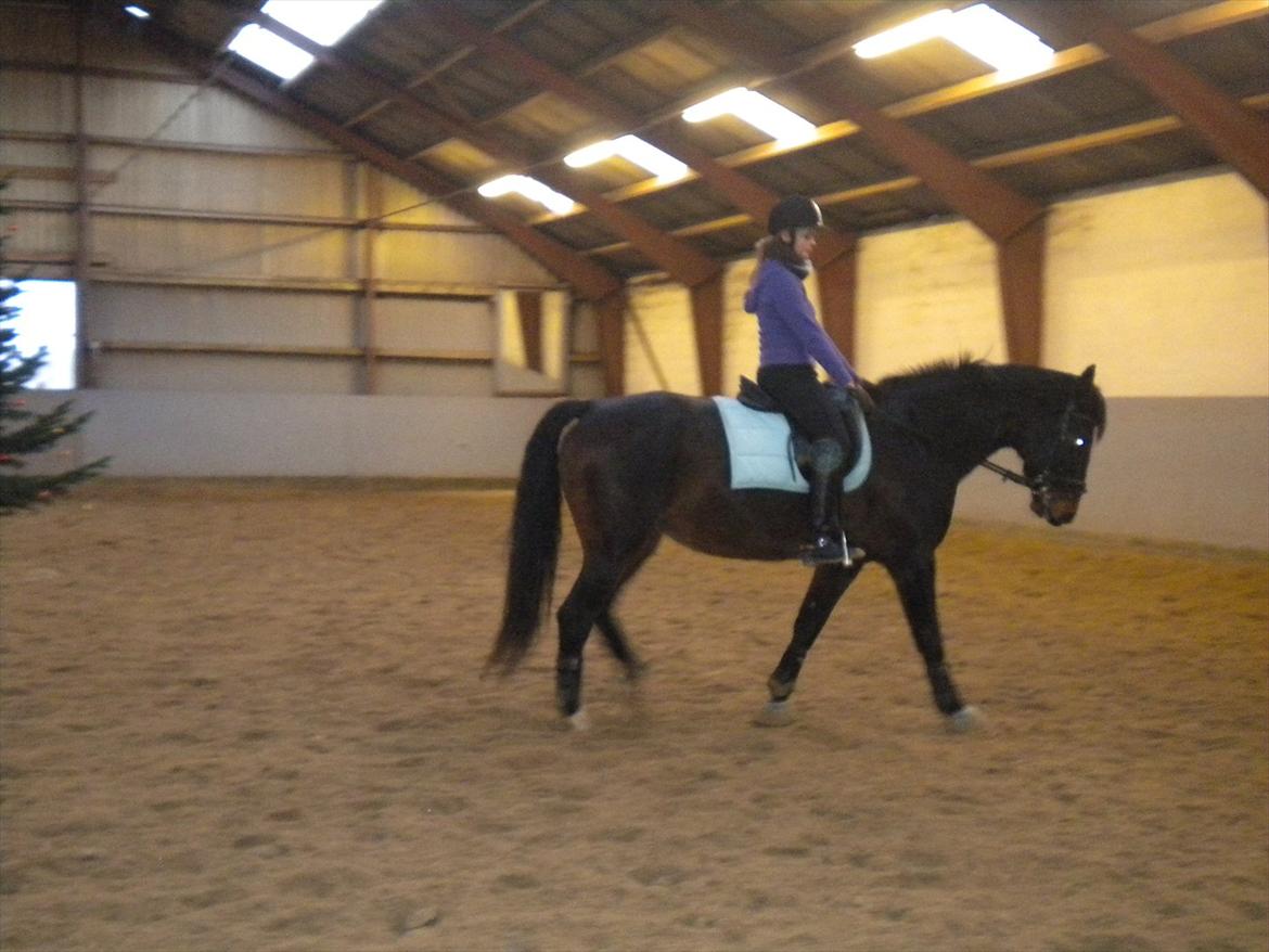 Anden særlig race Labell - Vi starter hårdt ud i dag billede 2