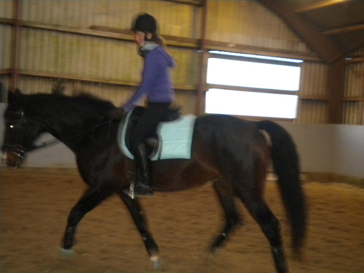 Anden særlig race Labell - En lille velfortjent skridt pause billede 5