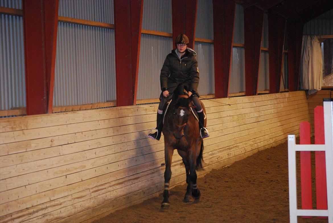 Holstener Little Casey - Ridning d. 13/2 2012 - søde hest! billede 12