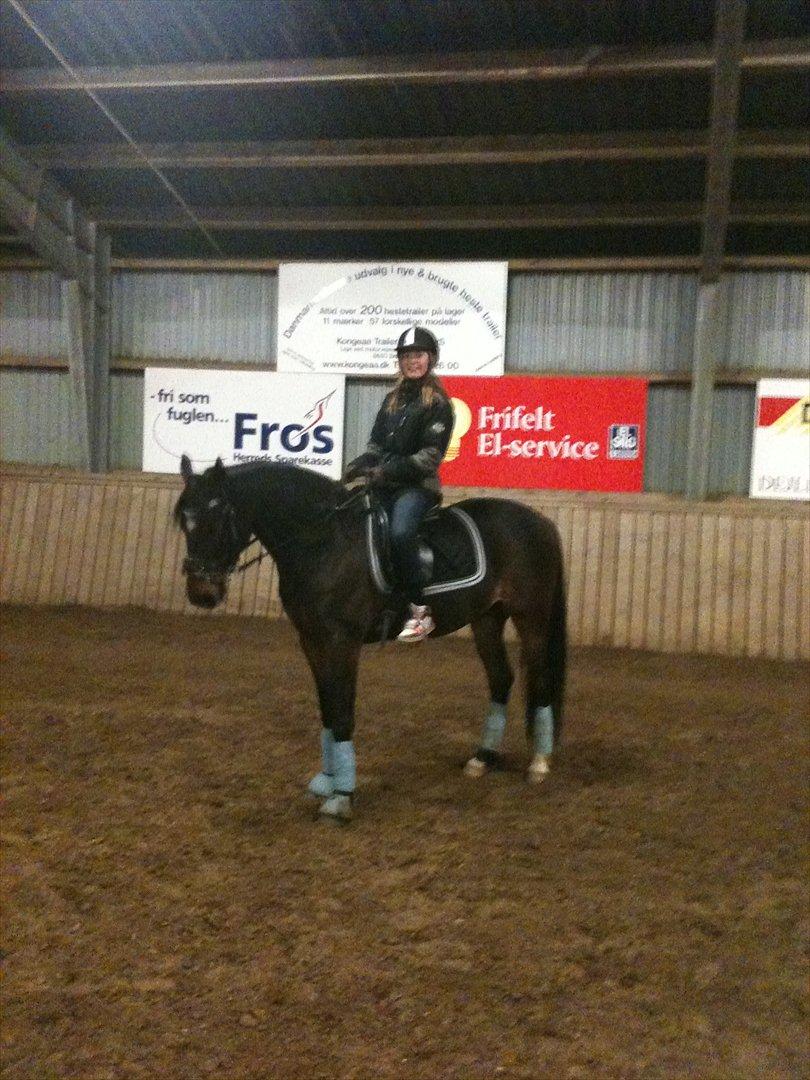 Anden særlig race Chili In Action - Maiken Schmidt og Chili in Action. MØGlækkert par ;-) muuummmmms! 1. Gang Maiken prøver ham. Feb '12 billede 19