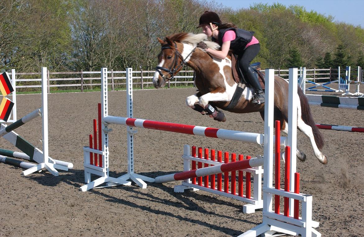 Pinto Celina A-pony  - Træning ved KIm  billede 13