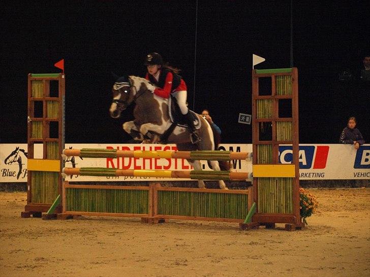 Pinto Celina A-pony  - JBK 2011 Caroline og Celina overall vinder af Haregabgaard cup billede 2