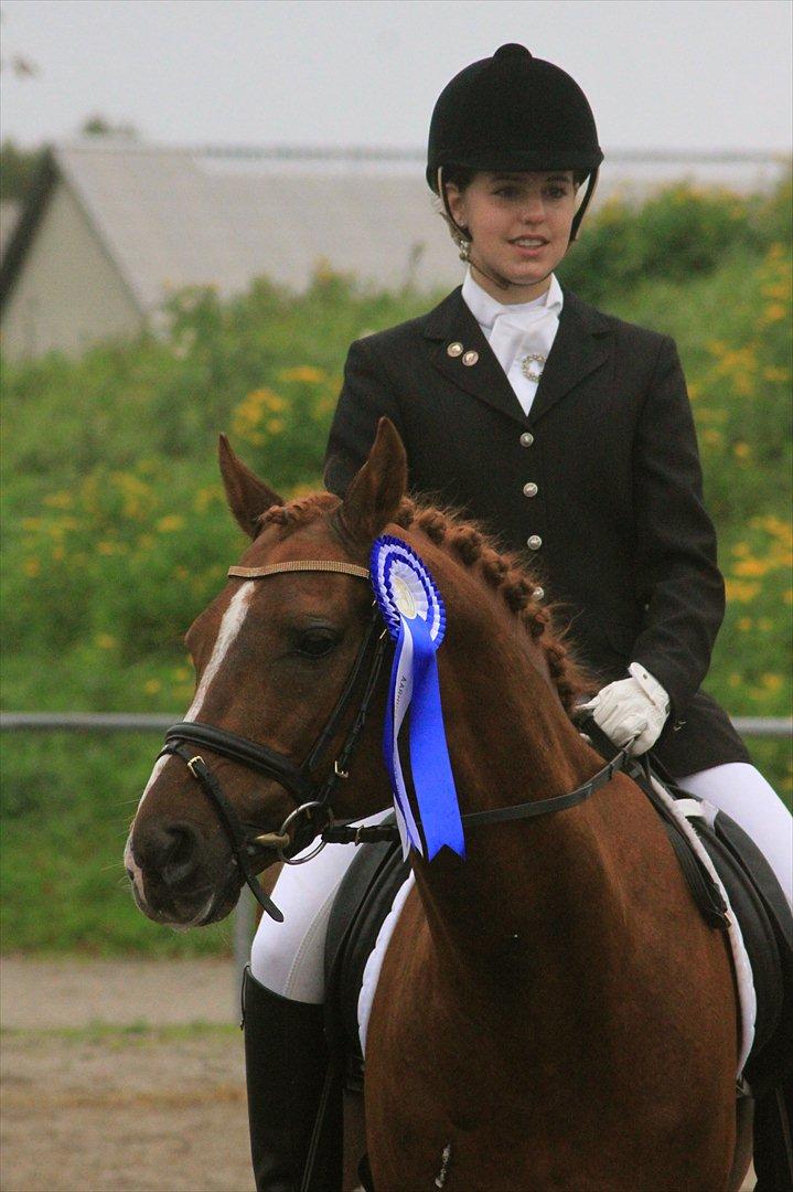 DSP Doran A-pony - Århus mesterskabet 2010 billede 2