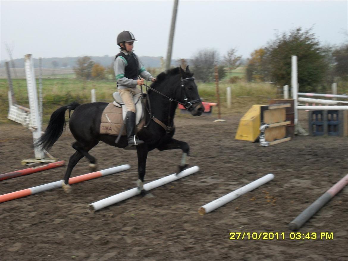 Anden særlig race camilla billede 6