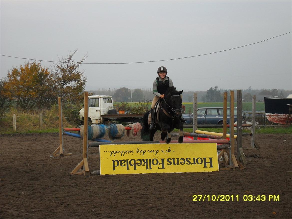 Anden særlig race camilla billede 8