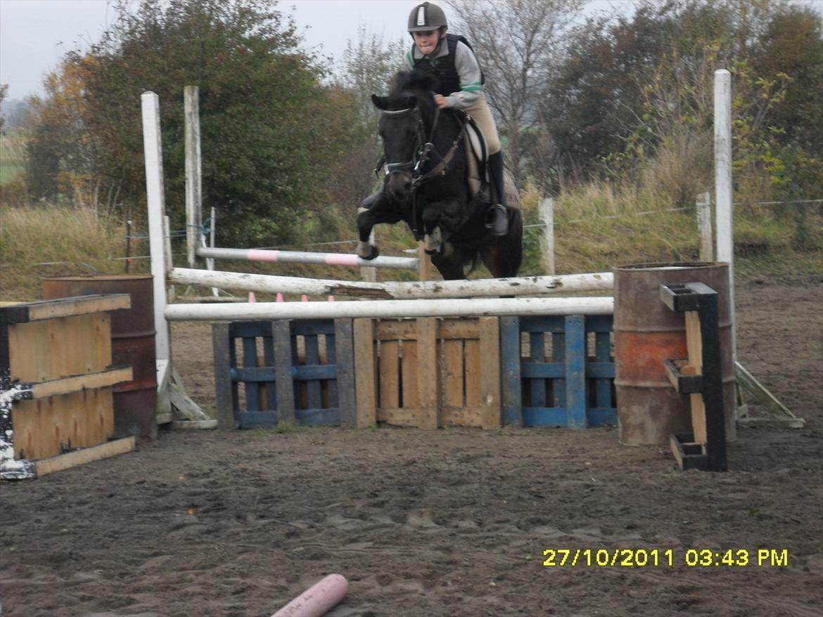 Anden særlig race camilla billede 9