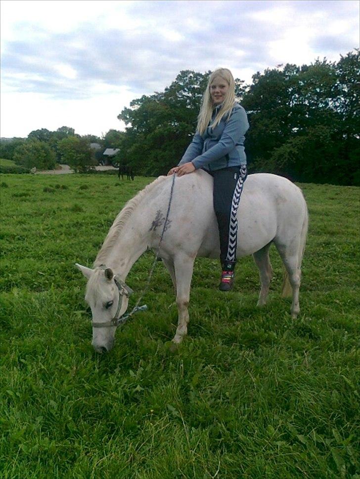 Anden særlig race Søvinds Silvermoon <3 R.I.P <3 :'( - Silver og mig sommer hygge<3;)
Foto mor billede 9
