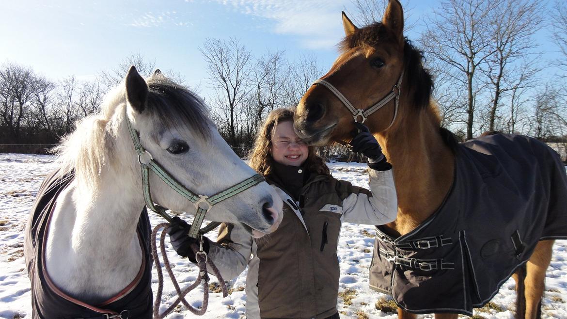 Anden særlig race Mon Chéri - en frostklar dag på fold. Mon skulle lige se noget .... og der var jeg altså ... elsker hende <33 billede 14