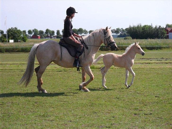 Anden særlig race Milana  - ude og ride med min dejlige piger <3<3 billede 1