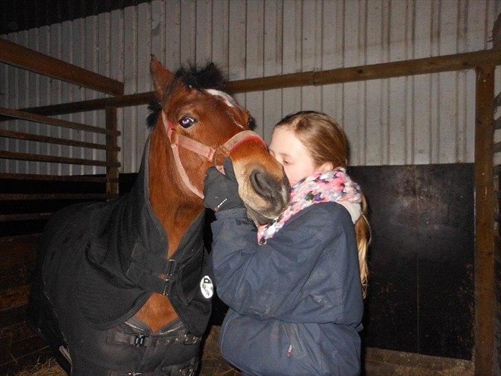 Anden særlig race Laban |*Mit ét og alt<3*| - Jeg elsker diq :)<3 Vi kæmper sammen, om at du skal blive rask igen´:´)<3 Mit ét og ált<3 billede 4