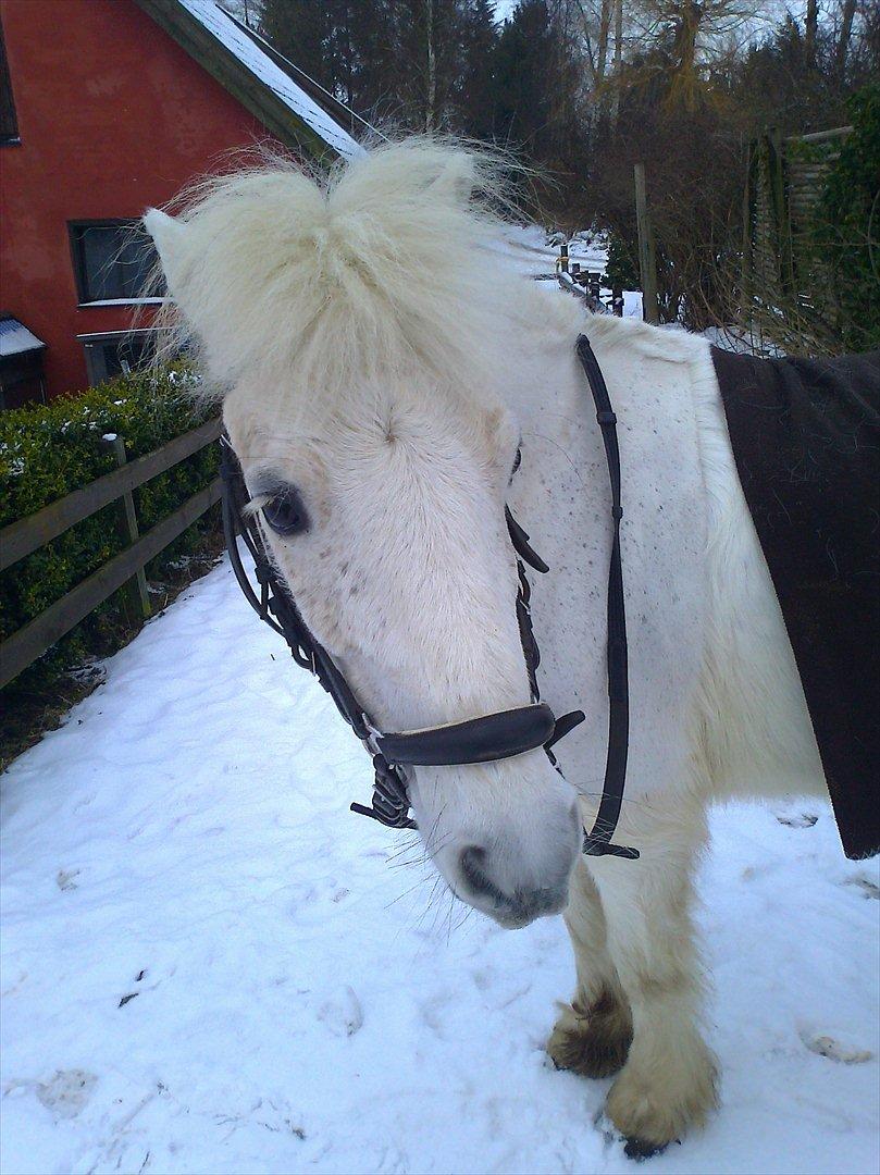 Anden særlig race Lilo - 12/2-12

efter jeg havde redet dig<3 billede 16