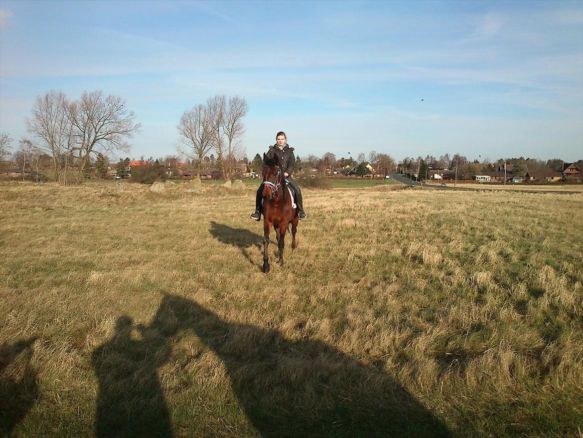 Traver Next Success billede 12