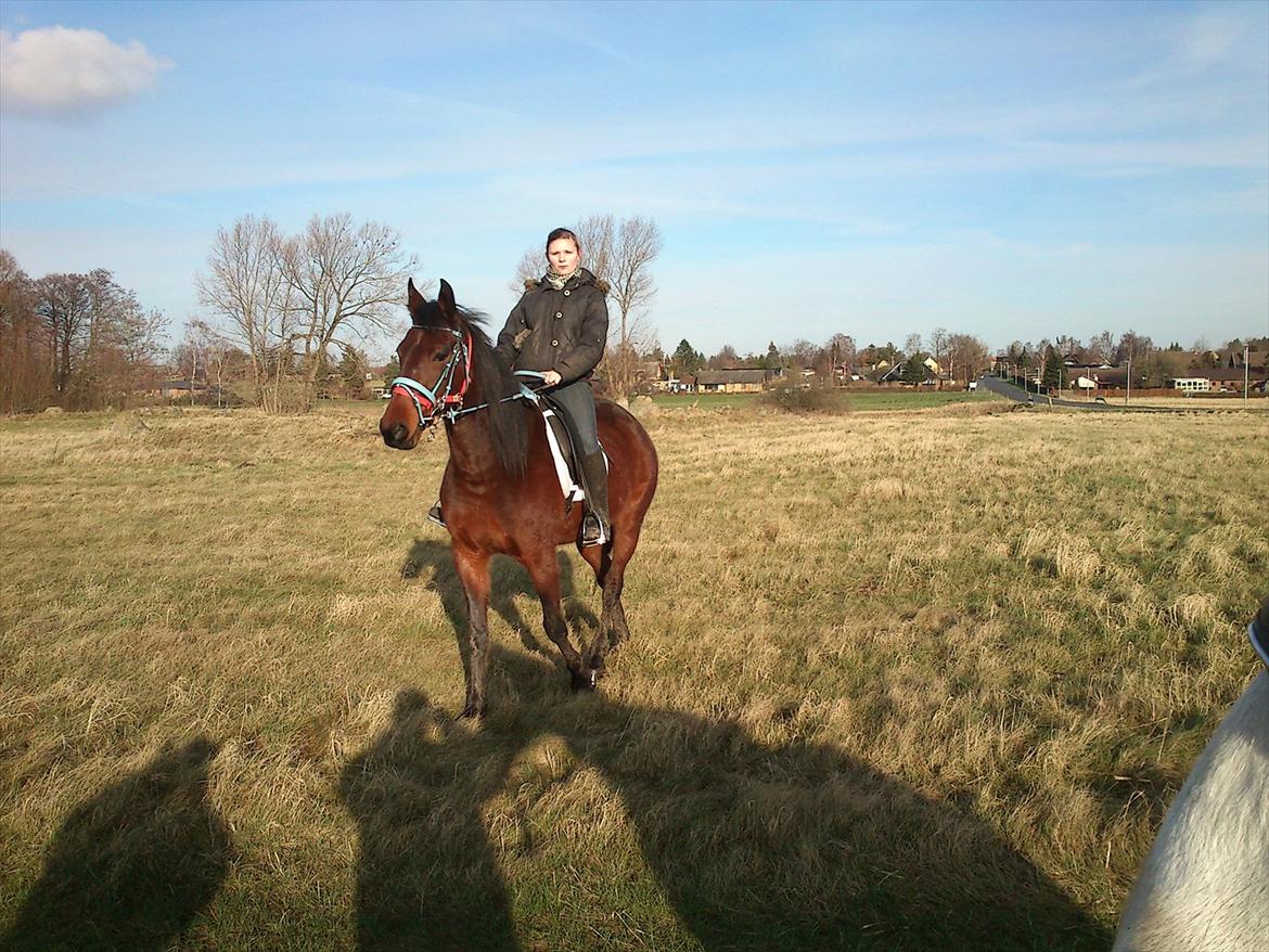 Traver Next Success billede 13