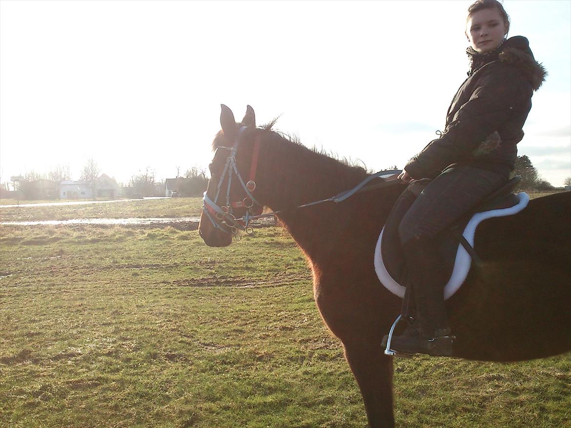 Traver Next Success billede 14