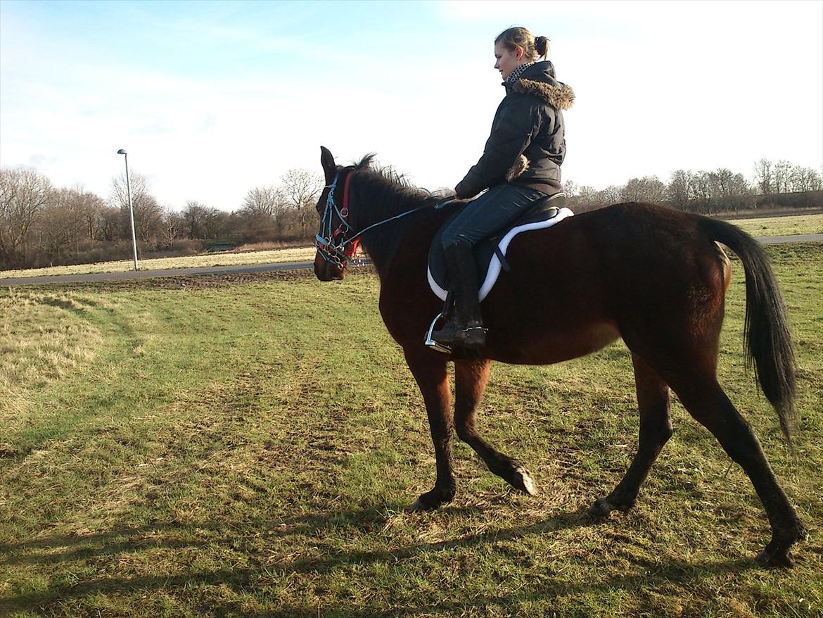 Traver Next Success billede 15