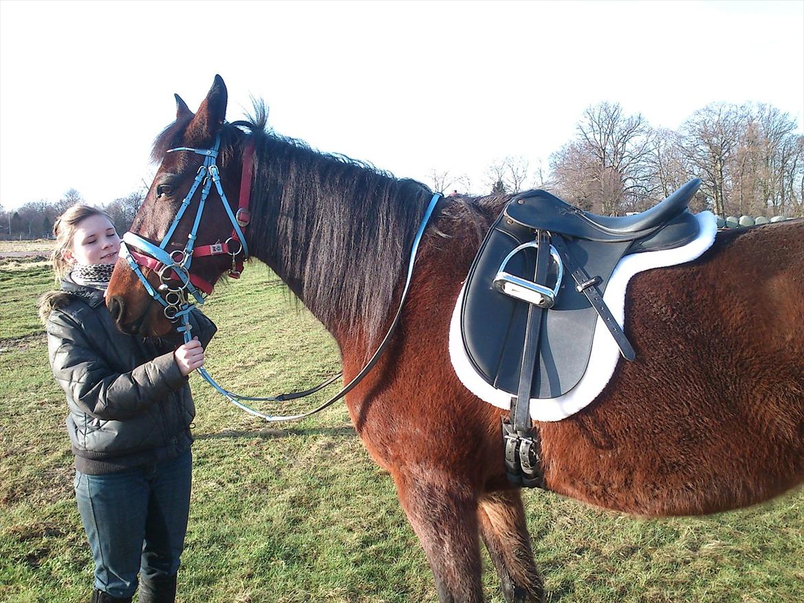 Traver Next Success billede 16