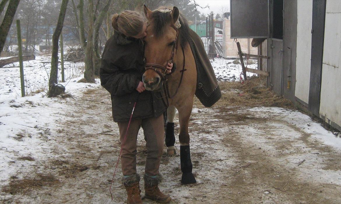 Anden særlig race Emma Merci (Min prinsesse) mit et & alt<3 - Februar 2012 
- Min øjesten <3  billede 8