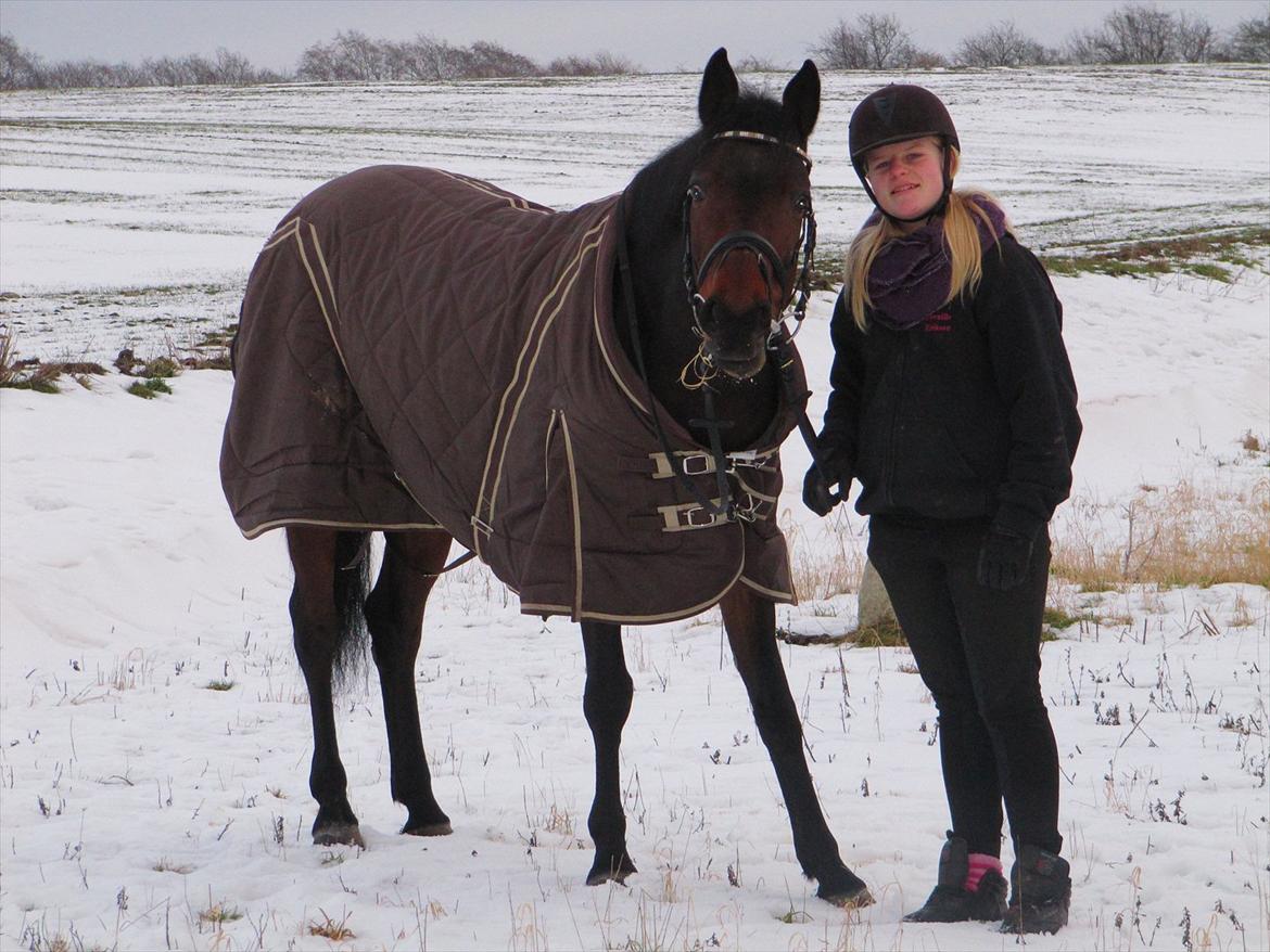 Anden særlig race Molly *Mit liv<3* - Vinter billeder d.13/02 2012 billede 9