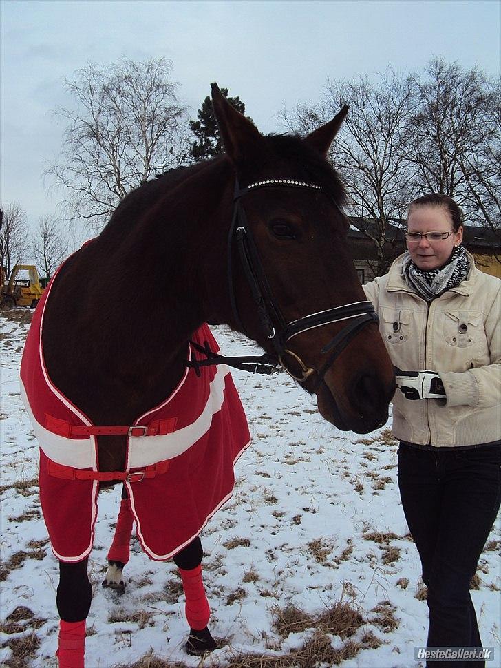 Dansk Varmblod Melissa  - Stå stille han hun næsten ikke ;)
Foto: Sareh Andersen. billede 14