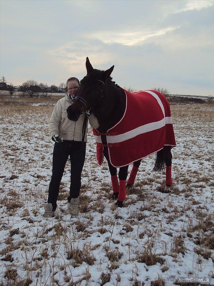 Dansk Varmblod Melissa  - ØHHH jaah? Spørg mig ikke ;/
Foto: Sarah Andersen. billede 17
