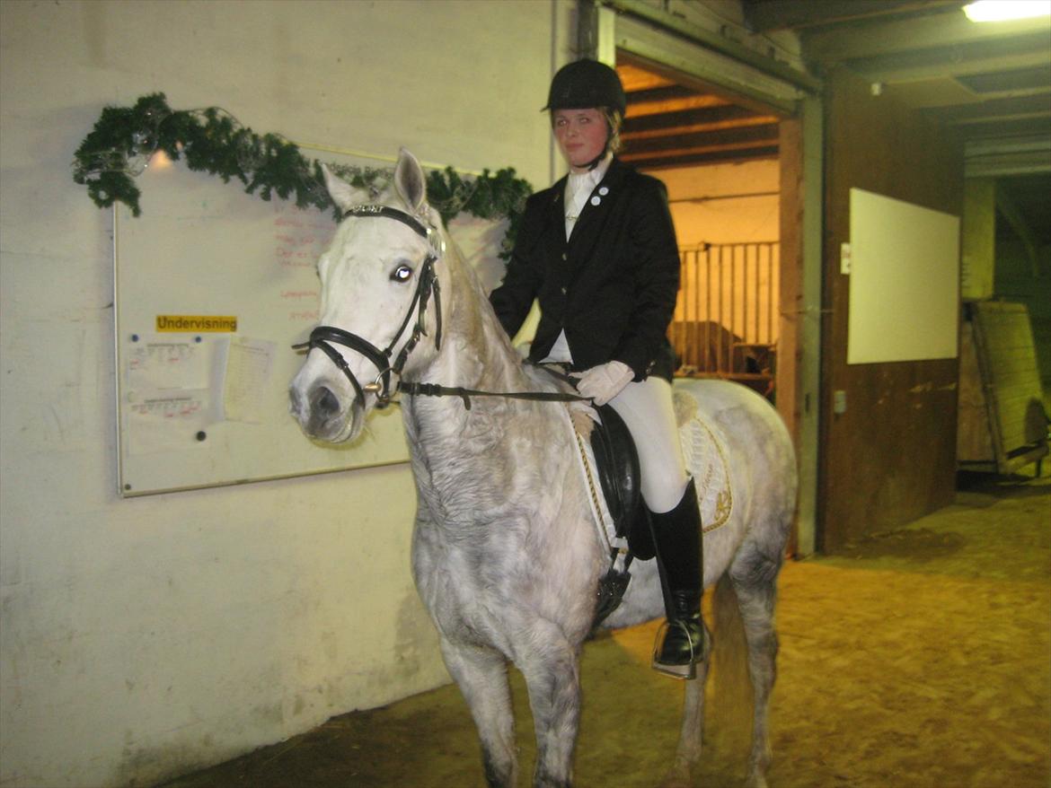 DSP Holmgaards Galant SOLGT ;( - Louise og Kalle :) billede 12