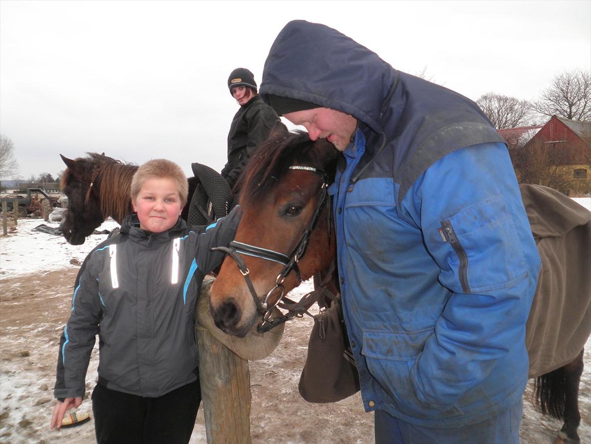 Anden særlig race Molly<3* tidligere  part  billede 18