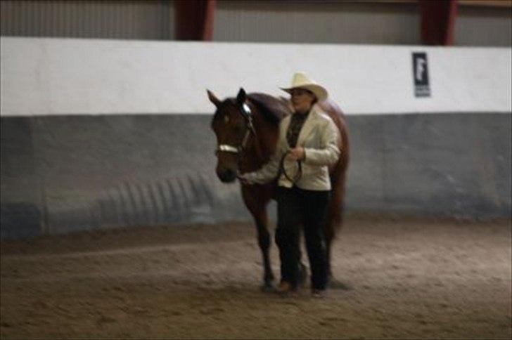 Quarter Our Mr San Fritz - Fynsmesterskab 2011 billede 17
