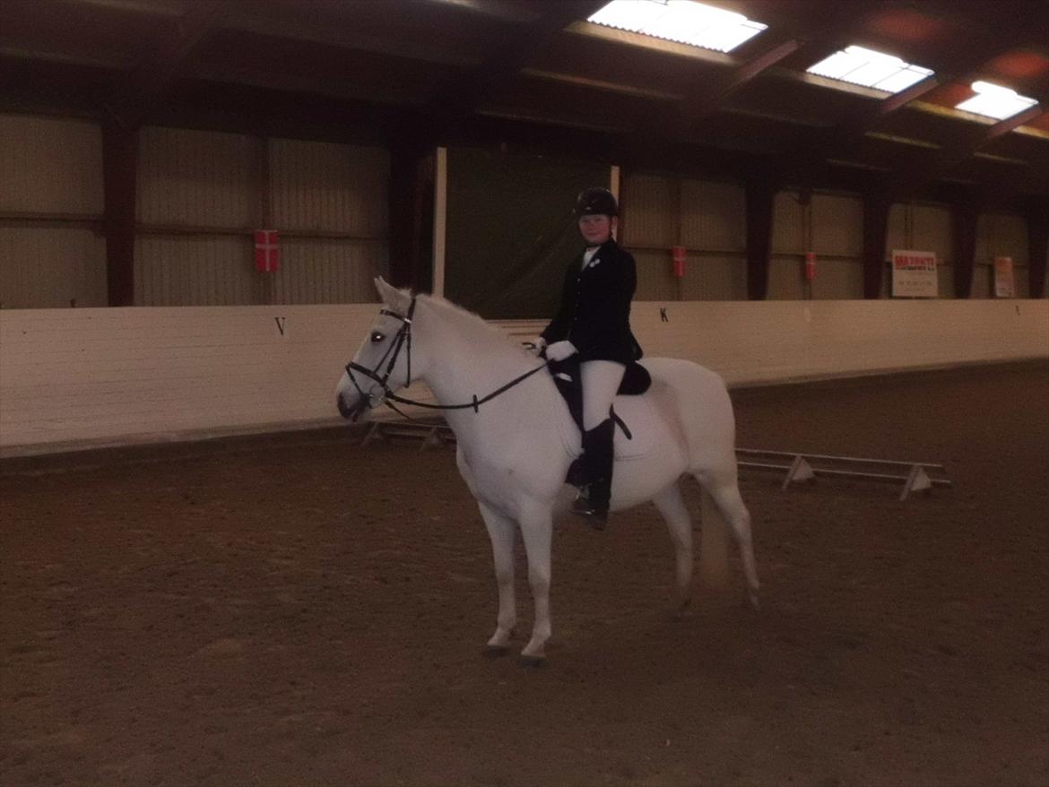 Connemara Perle :) - Feb. 2012. Vi red Lc2 og kom på en 4. plads.  billede 9