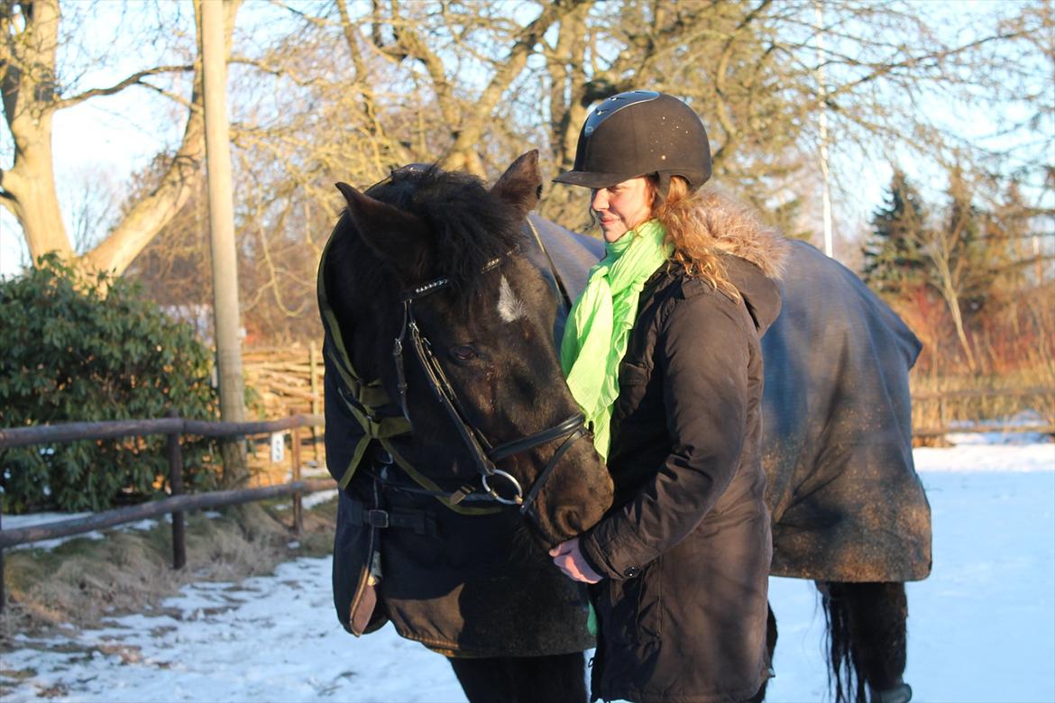 Oldenborg Asterix Pizziricco *MIN ENGEL<3* - 8 år - Februar 2012 *Foto: Amalie* billede 44