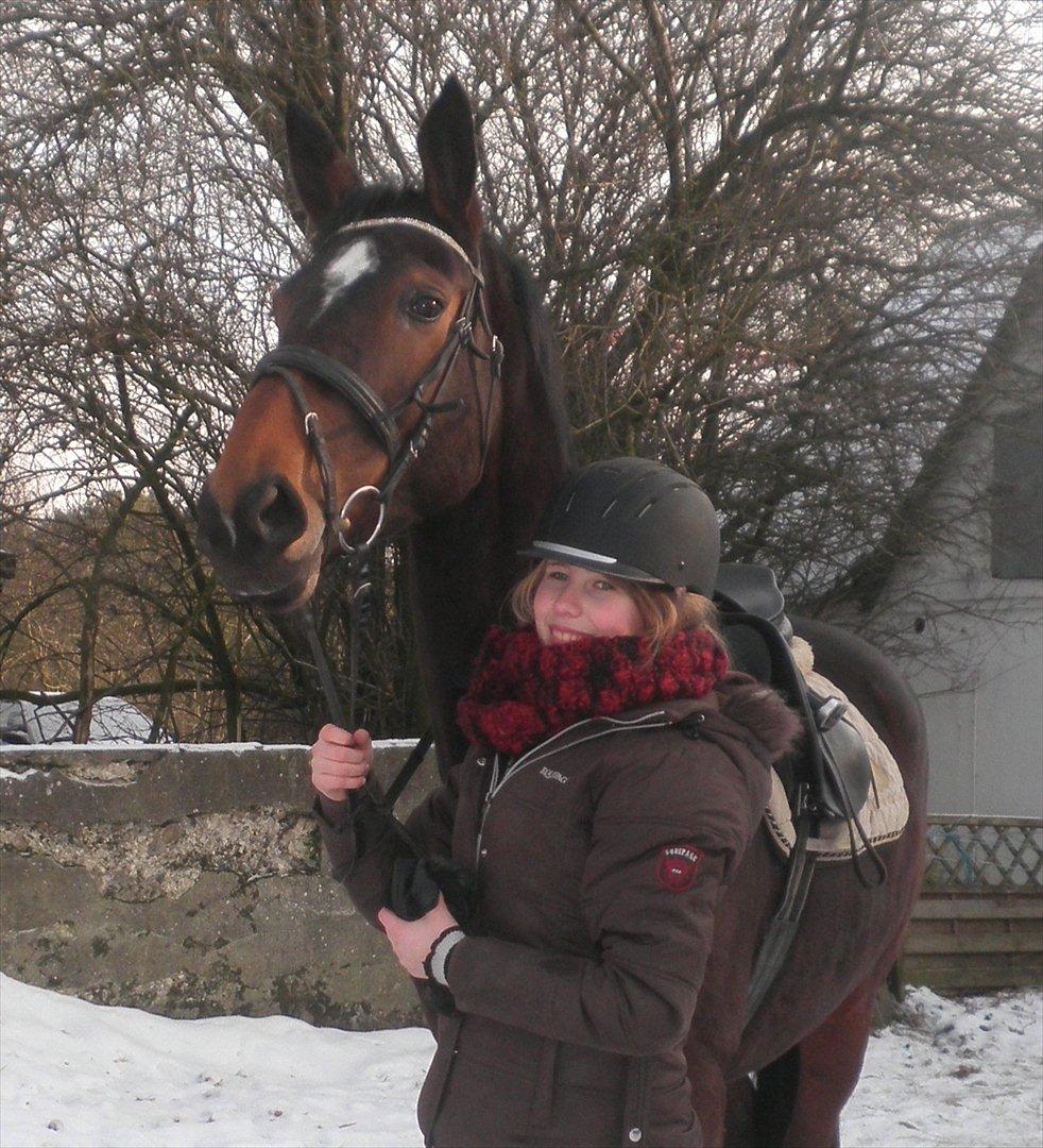 Dansk Varmblod Duelunds Lousenza (Baby) - Den dag jeg fik hende :*
- d. 14/2 - 2012 billede 2