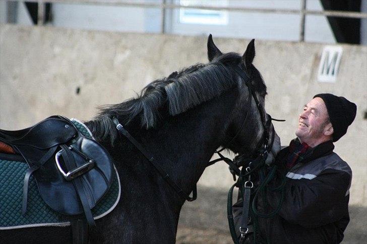 Dansk Varmblod Rinkenæs Challenge - SOLGT - Et super billed af en glad hest og ejer
Foto: Laura S. Moseholt billede 17