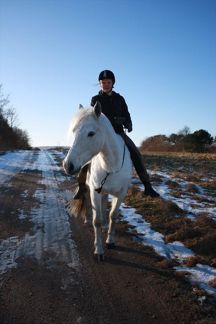 Pinto Rollo | Savnet & elsket foraltid | - 6. Vi fandt altid nye veje sammen, så læng vi var sammen var intet eller ingen der skulle stoppe os! Foto: Signe billede 6