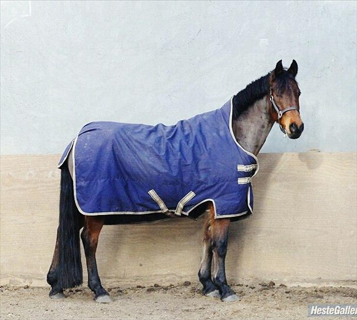 Anden særlig race Nadir <3  - Dækkenet måtte mor godt ha købt i et nr større x) billede 9