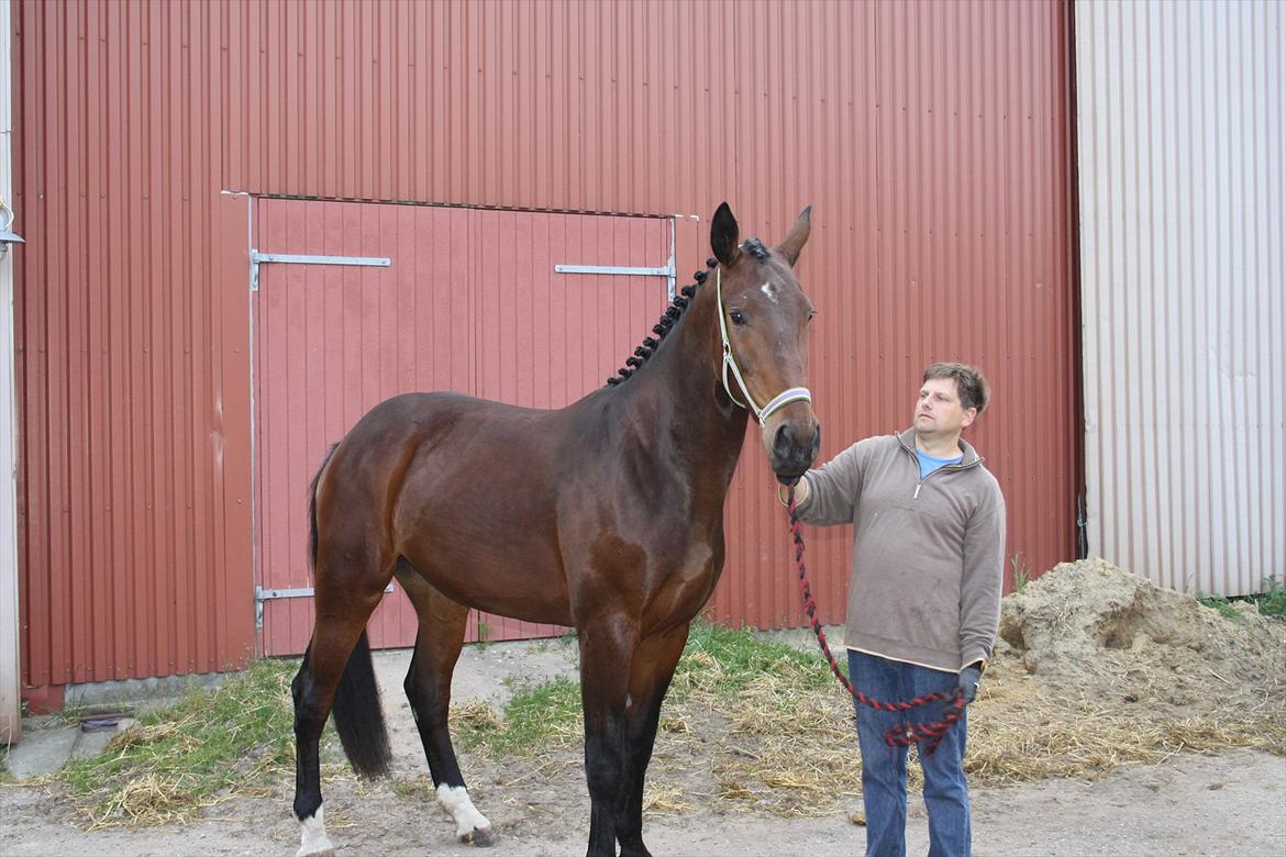 Oldenborg Borgstrøms Pepita billede 11