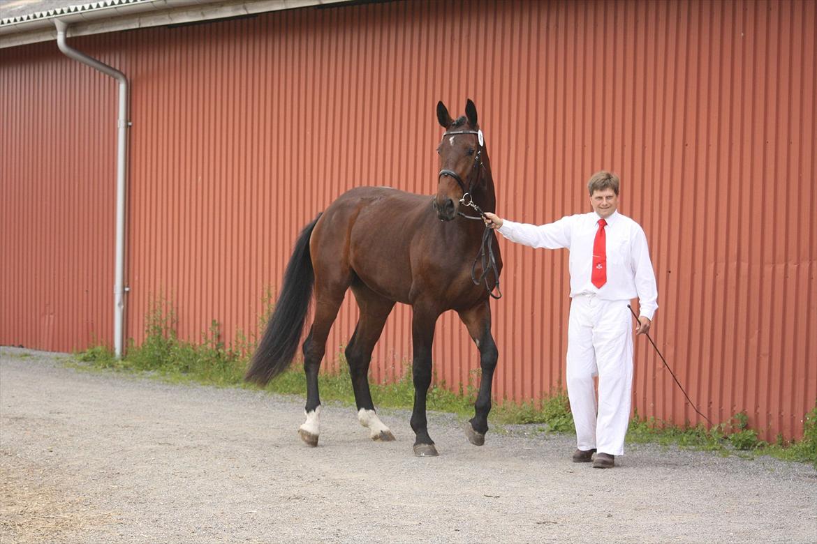 Oldenborg Borgstrøms Pepita billede 13