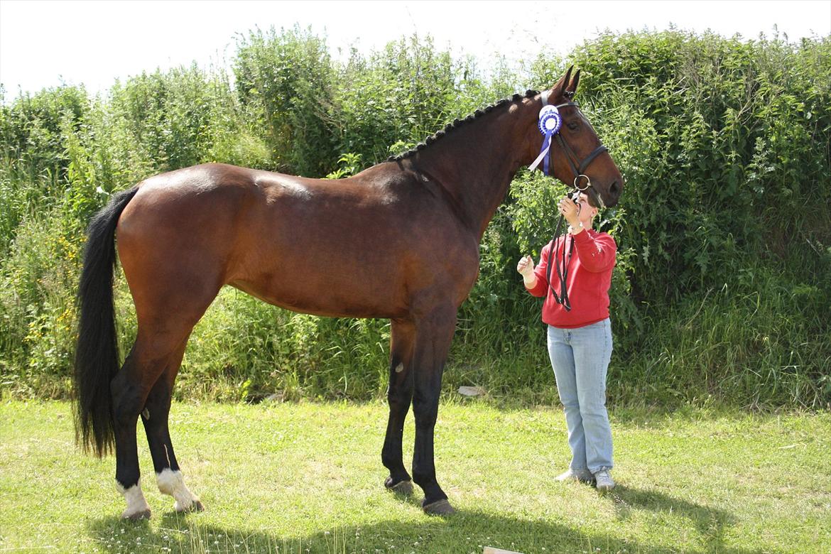Oldenborg Borgstrøms Pepita billede 18