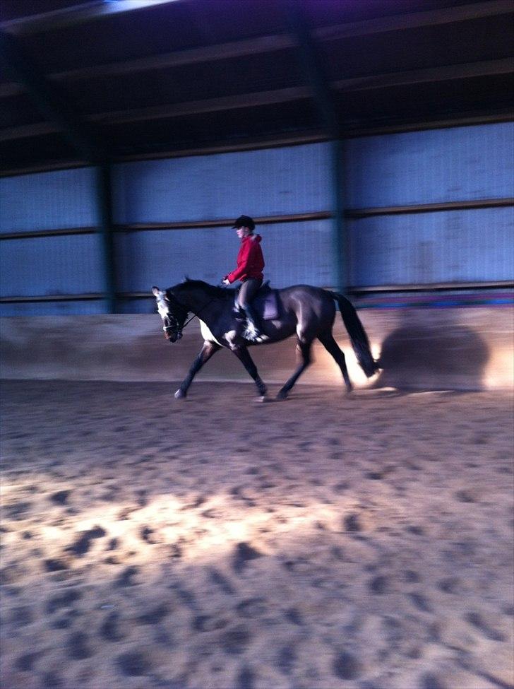 Holstener Medusa - Dressurtræning! :) billede 10