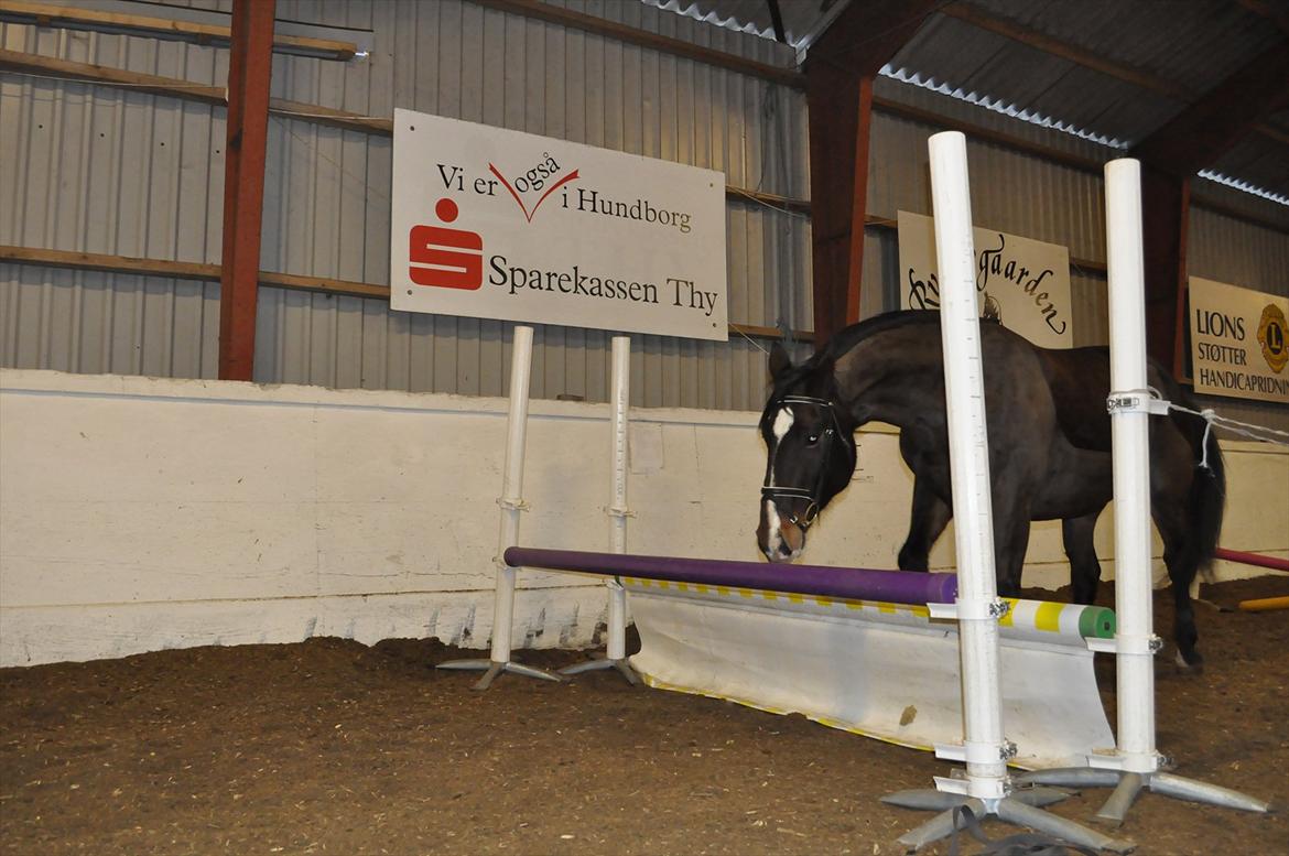Oldenborg Cille May - En af Cilles smarte springtekniker! :-)) billede 2