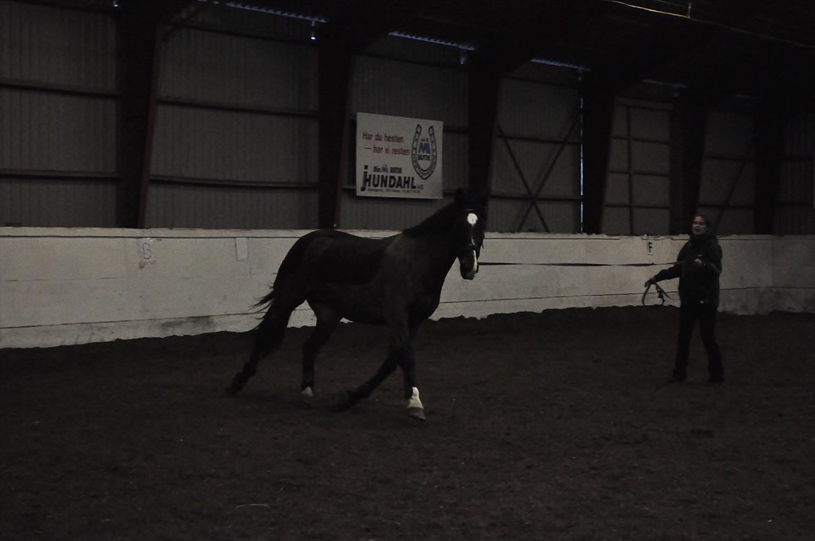 Oldenborg Cille May - Igen! :D billede 4