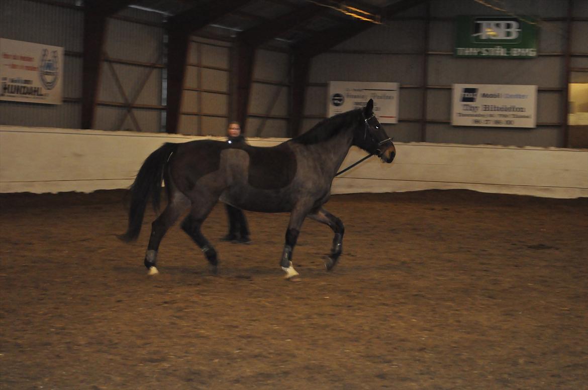 Oldenborg Cille May - Tra la la la!! :-D billede 6
