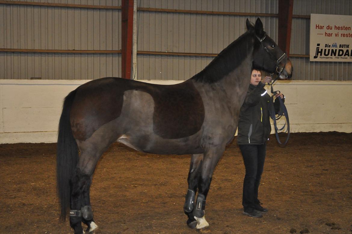 Oldenborg Cille May - Smukke Cille! billede 7