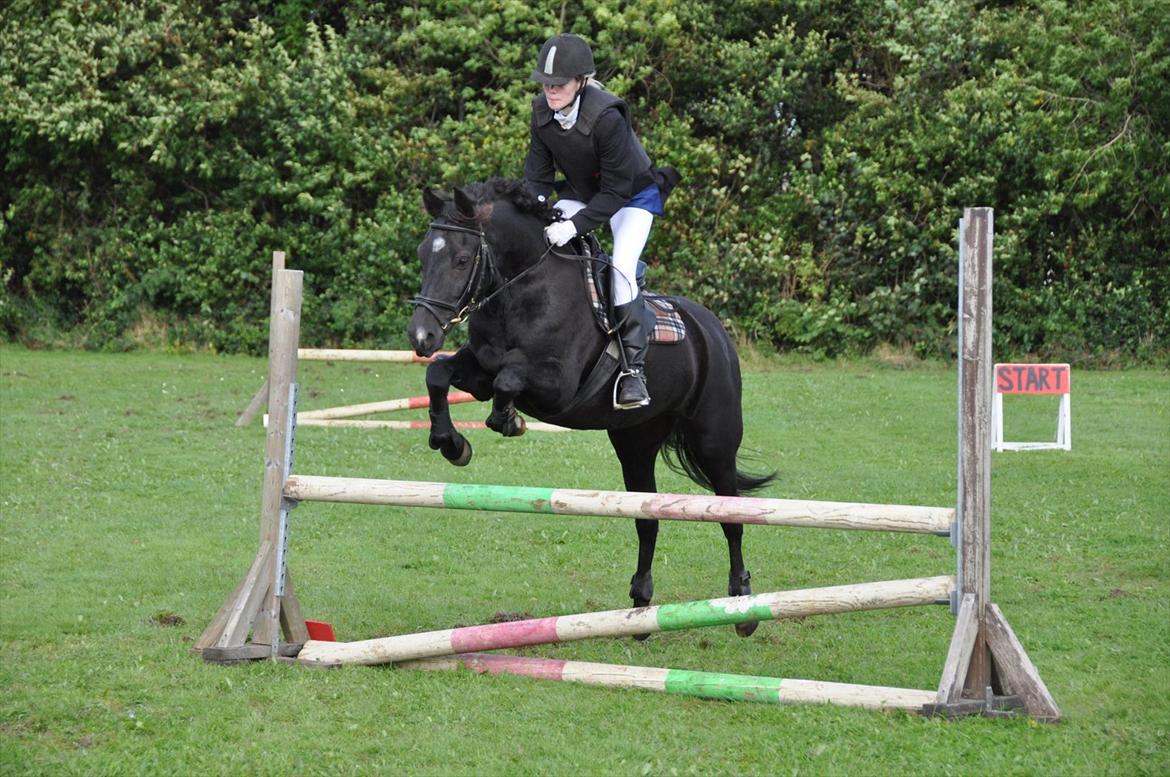 New Forest montana - Han vil bære mig igennem alt! <3  billede 19