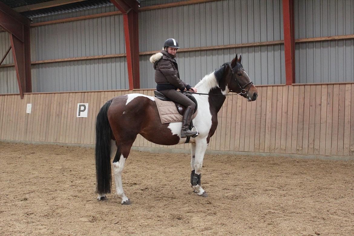 Anden særlig race Spirit Of Sapana billede 13