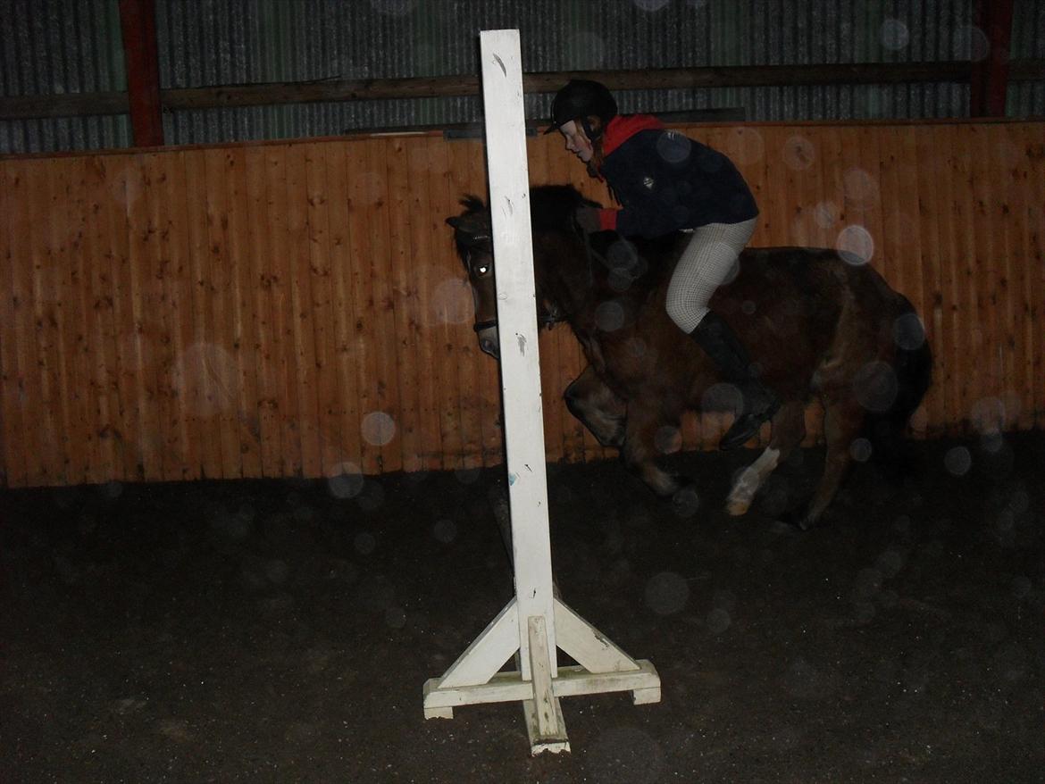 Anden særlig race Bølle Bob [Har redet] - Springer på ham <3 Det ser ikke så kønt ud...

Kærlighed er som krig - nem at starte, svær at slutte, og aldrig til at glemme


Foto: Fie (Hende der rider ham nu) billede 10