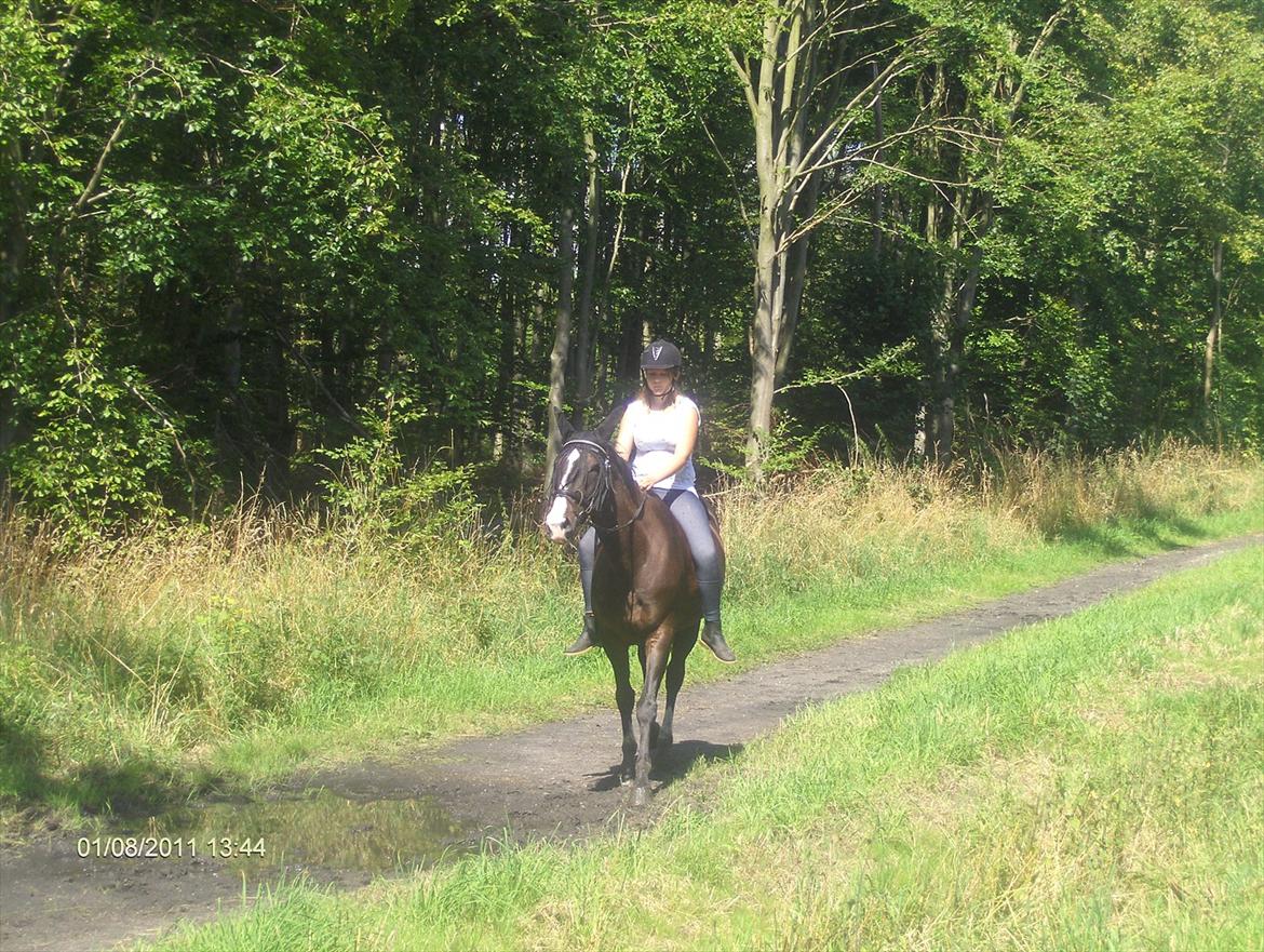 Dansk Varmblod Melissa<3 *den eneste ene* - mig og Melissa i skoven<3 billede 2
