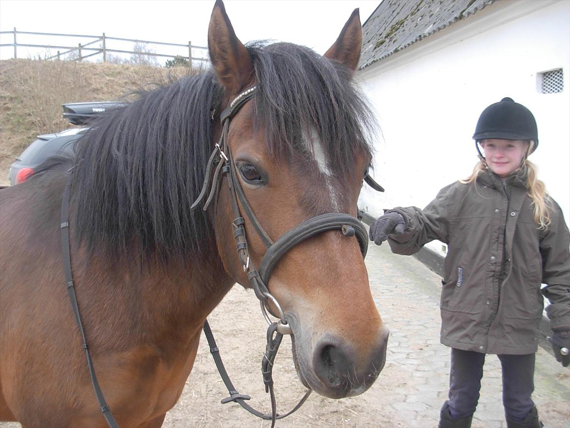 New Forest Cindy |har redet | solgt - Søde Cindy<3 billede 8