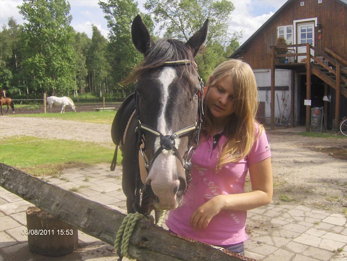 Dansk Varmblod Melissa<3 *den eneste ene* billede 4