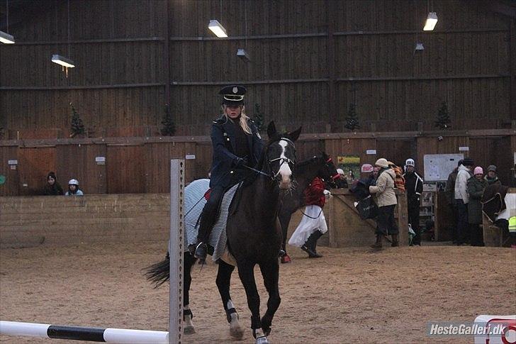 Dansk Varmblod Melissa<3 *den eneste ene* billede 8