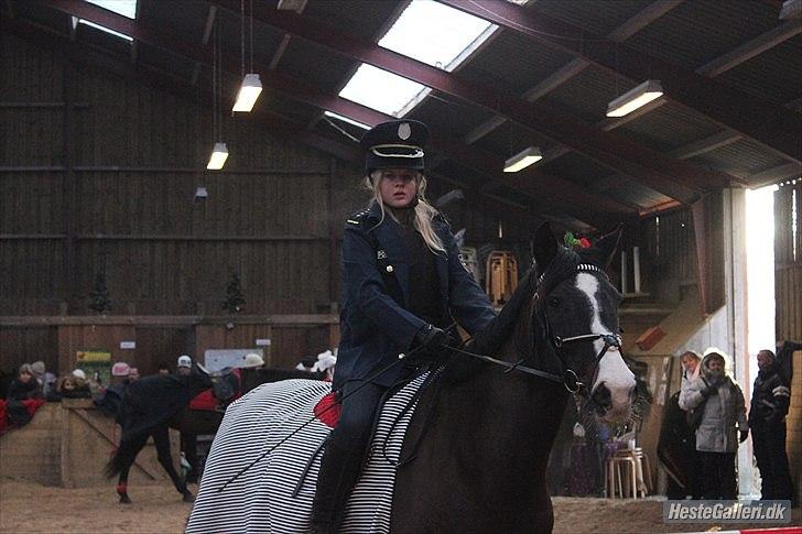 Dansk Varmblod Melissa<3 *den eneste ene* billede 9