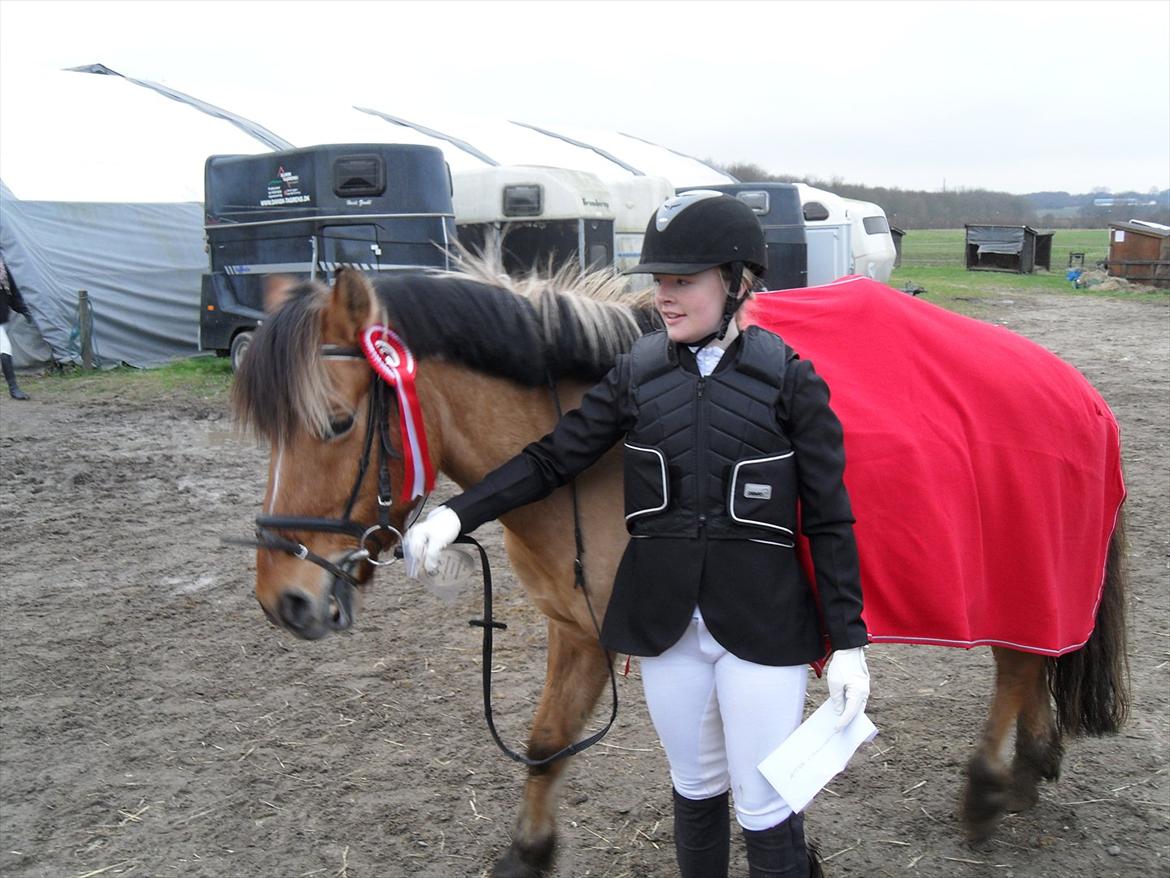 Anden særlig race Tarzan - Klubmester skaberne 2011 :)  billede 3